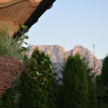 Fiedorowka Villa Zakopane Bagian luar foto