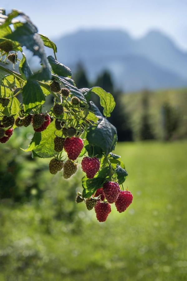 Fiedorowka Villa Zakopane Bagian luar foto