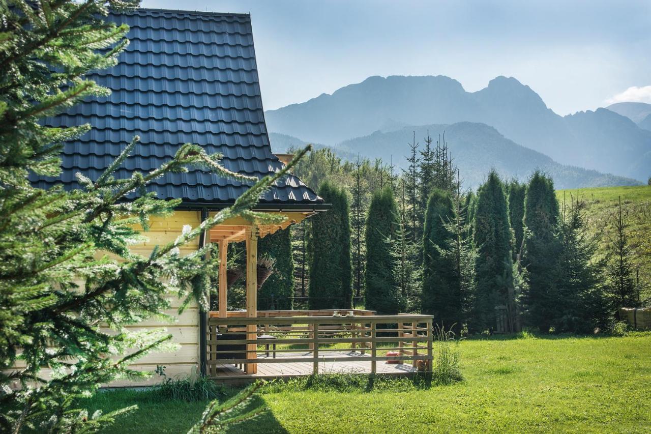 Fiedorowka Villa Zakopane Bagian luar foto