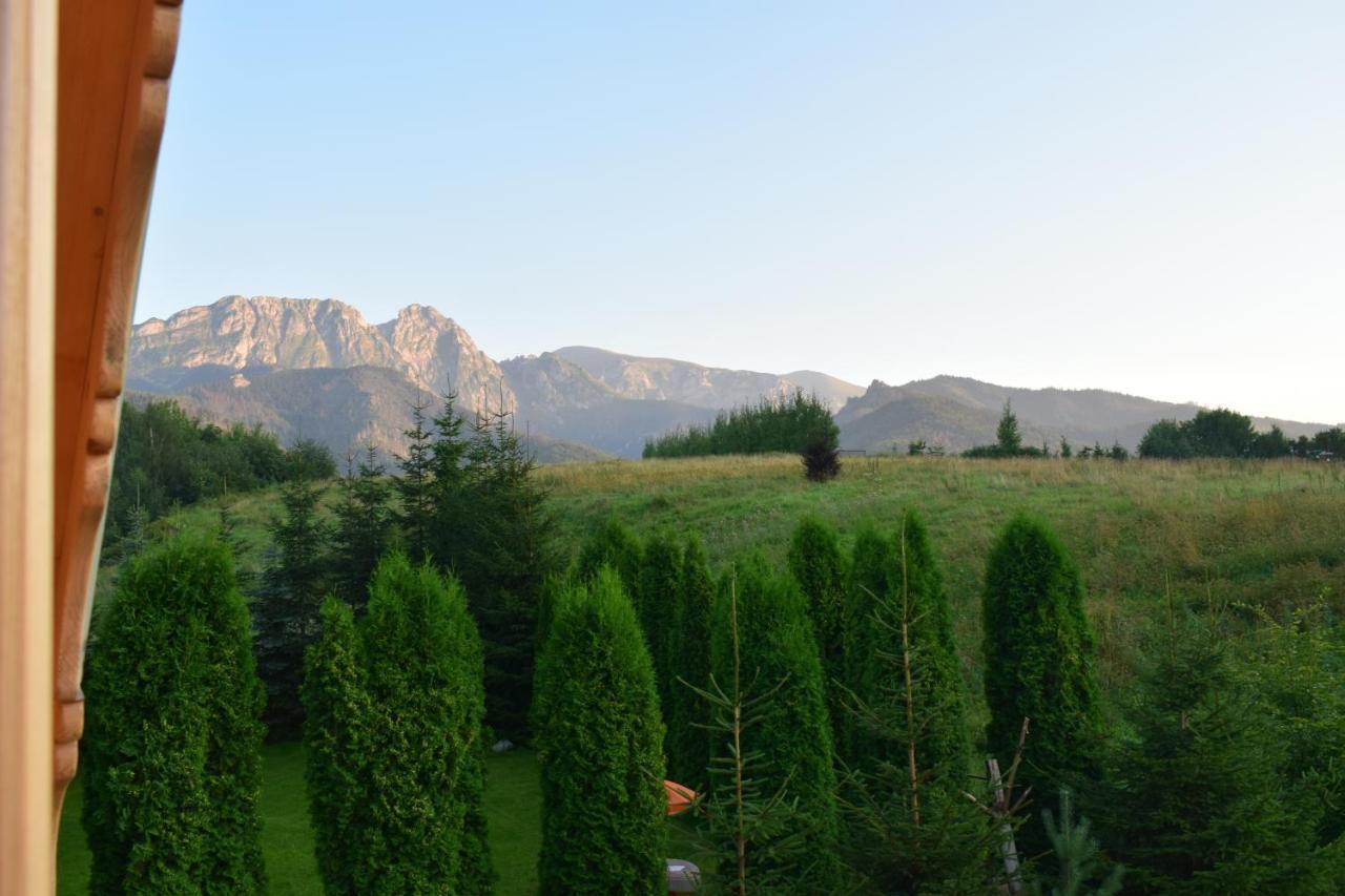 Fiedorowka Villa Zakopane Bagian luar foto