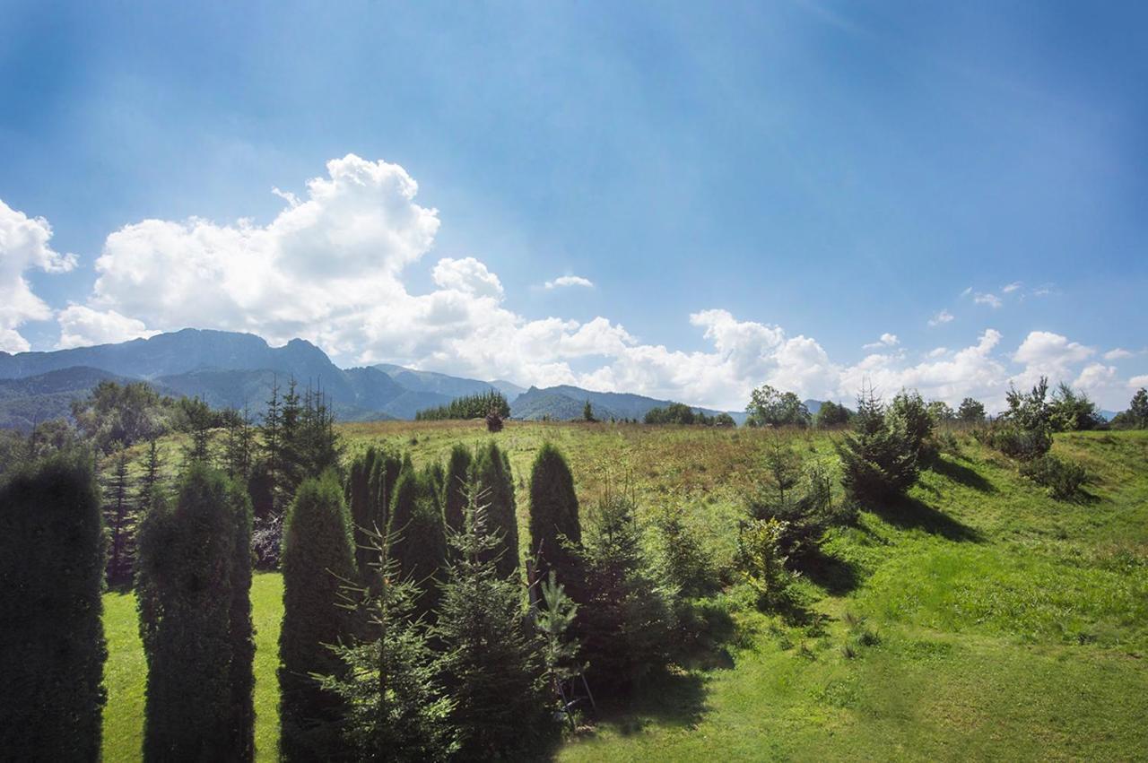 Fiedorowka Villa Zakopane Bagian luar foto